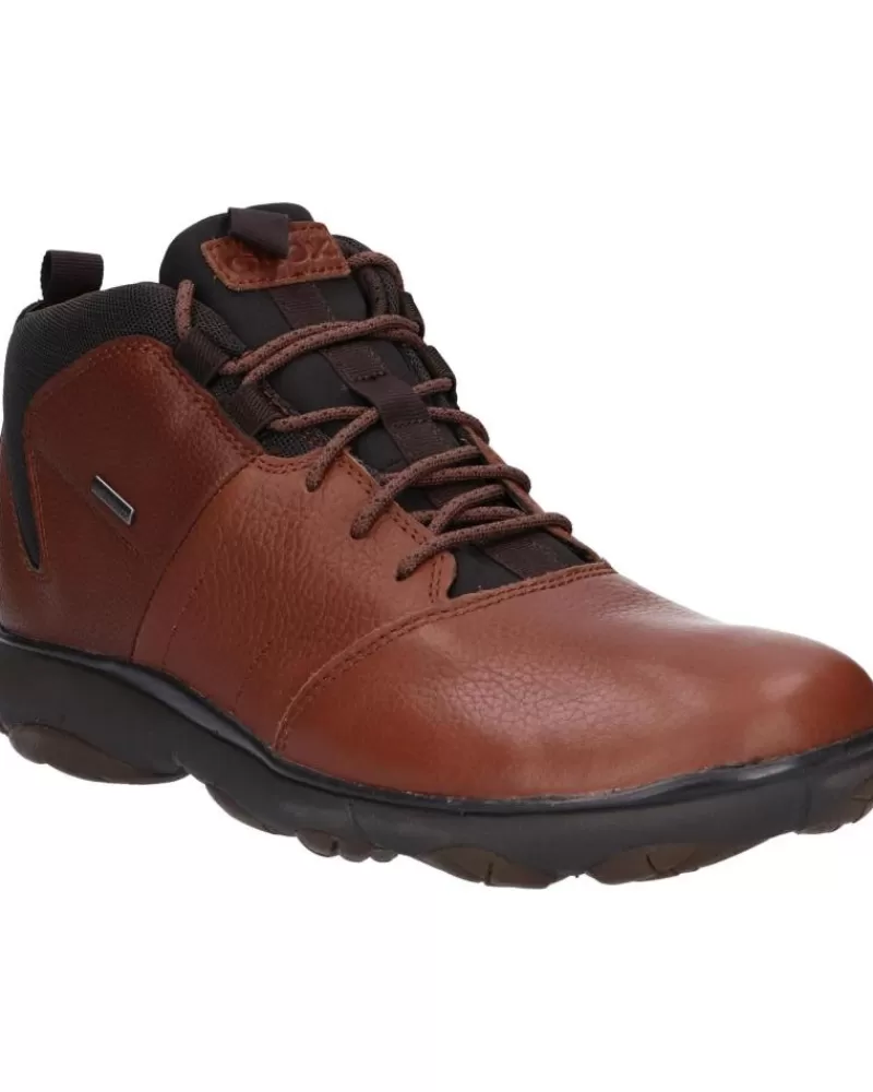 Boy GEOX Shoes-Man And Boy Shoes U742Va 046Fe U Nebula C6003 Browncotto