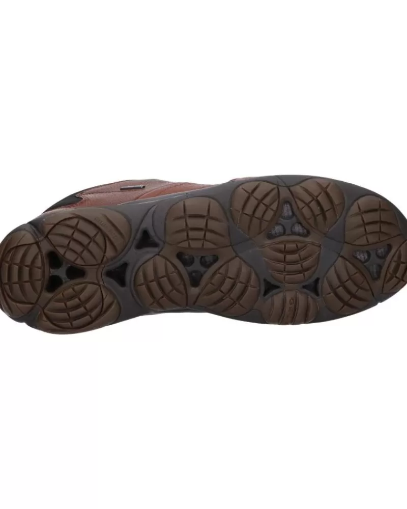 Boy GEOX Shoes-Man And Boy Shoes U742Va 046Fe U Nebula C6003 Browncotto