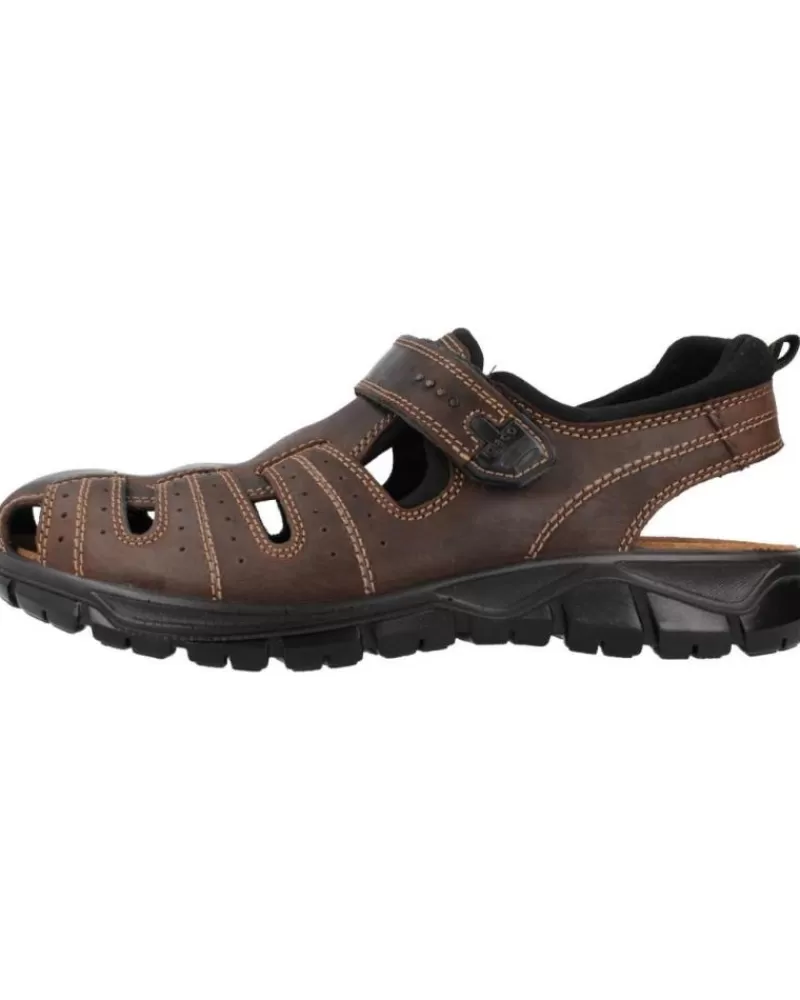 Man IGI&CO Man Sandals Igi&Co 3641211 Marron