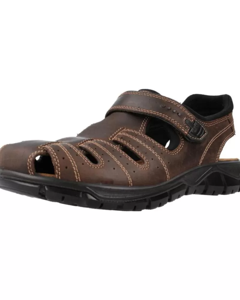 Man IGI&CO Man Sandals Igi&Co 3641211 Marron