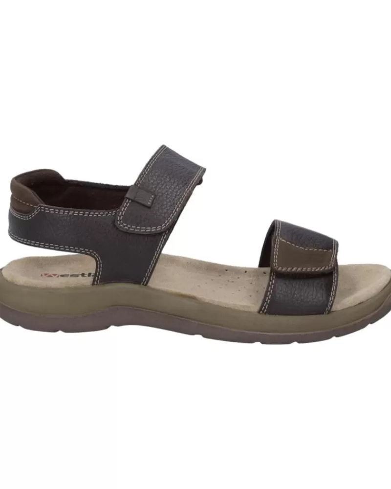Man WESTLAND Man Sandals Alsace-02 Piel Marron