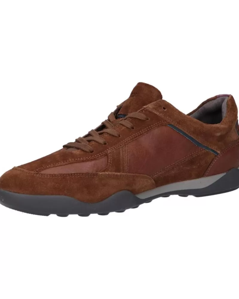 Man GEOX Man Zapatillas Deporte U26Fea 022Pt U Metodo C6003 Browncotto