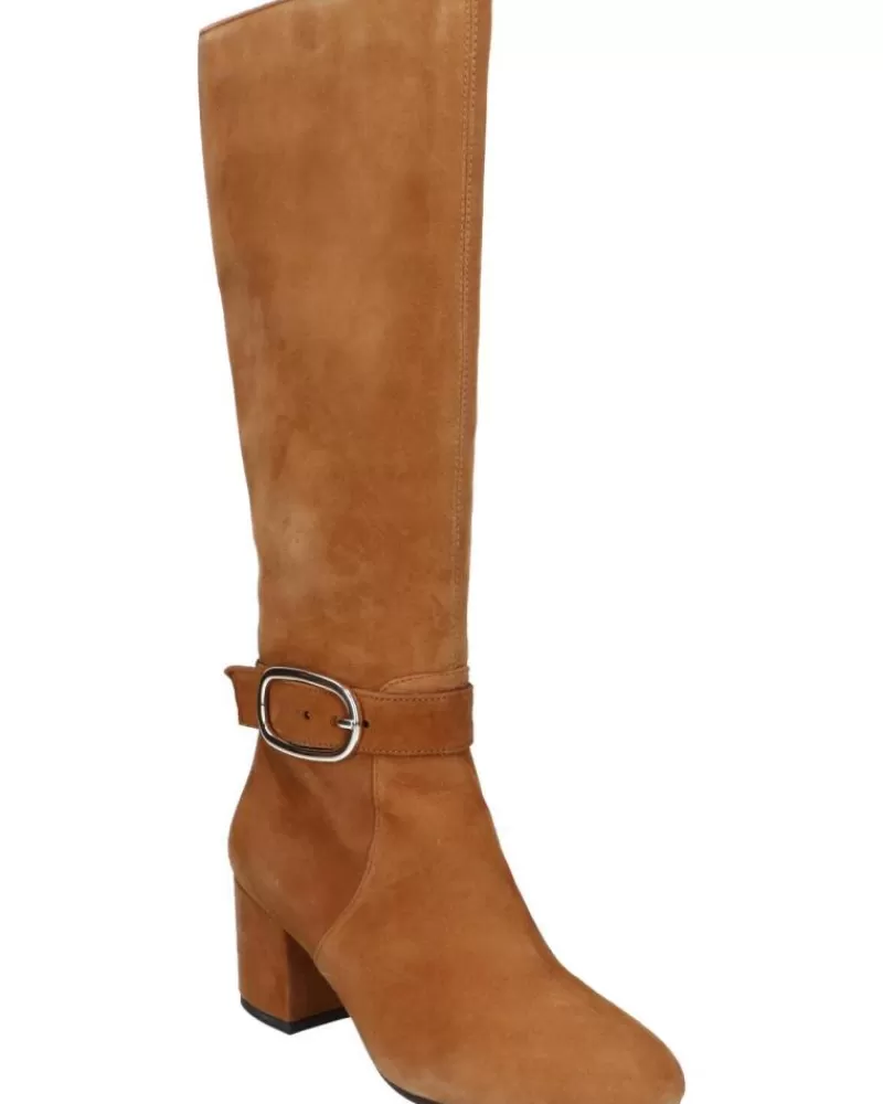 Woman GEOX Woman Boots D26Twc 00021 D Eleana C6001 Cognac